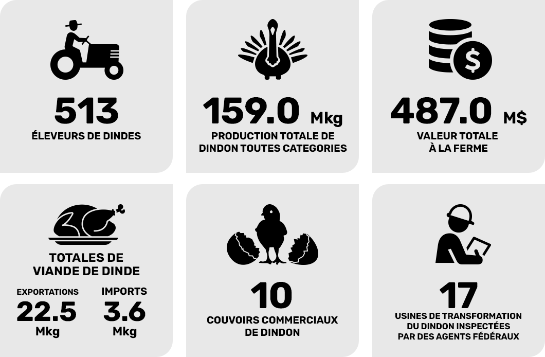 Données statistiques sur l’industrie